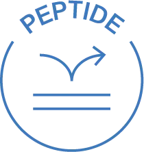 Peptit