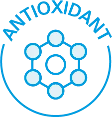 Antioksidan